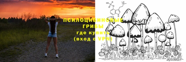 соль ск Балахна