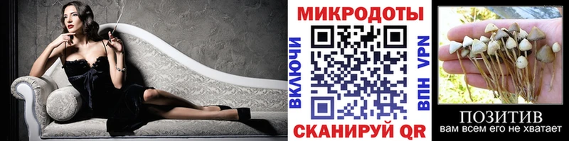 Купить закладки  Сердобск  Галлюциногенные грибы Psilocybine cubensis 